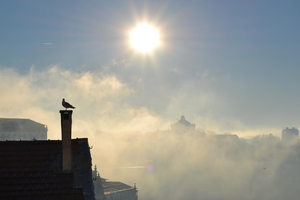 Merc Porto Vitoria'S Place Cameră foto
